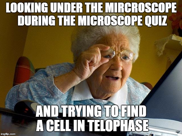 Grandma Finds The Internet Meme | LOOKING UNDER THE MIRCROSCOPE DURING THE MICROSCOPE QUIZ; AND TRYING TO FIND A CELL IN TELOPHASE | image tagged in memes,grandma finds the internet | made w/ Imgflip meme maker