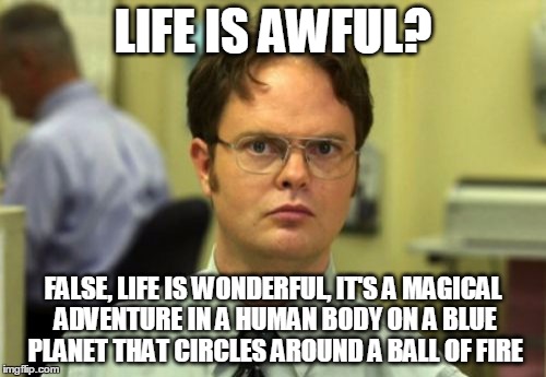 False | LIFE IS AWFUL? FALSE, LIFE IS WONDERFUL, IT'S A MAGICAL ADVENTURE IN A HUMAN BODY ON A BLUE PLANET THAT CIRCLES AROUND A BALL OF FIRE | image tagged in false | made w/ Imgflip meme maker