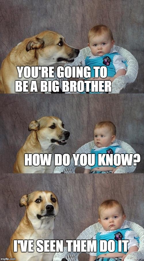 Dad Joke Dog | YOU'RE GOING TO BE A BIG BROTHER; HOW DO YOU KNOW? I'VE SEEN THEM DO IT | image tagged in memes,dad joke dog | made w/ Imgflip meme maker