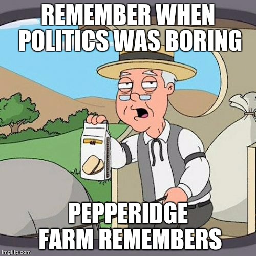 Pepperidge Farm Remembers | REMEMBER WHEN POLITICS WAS BORING; PEPPERIDGE FARM REMEMBERS | image tagged in memes,pepperidge farm remembers | made w/ Imgflip meme maker