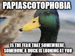 what duck? | PAPIASCOTOPHOBIA; IS THE FEAR THAT SOMEWHERE, SOMEHOW, A DUCK IS LOOKING AT YOU | image tagged in discworld,duck,what drake | made w/ Imgflip meme maker