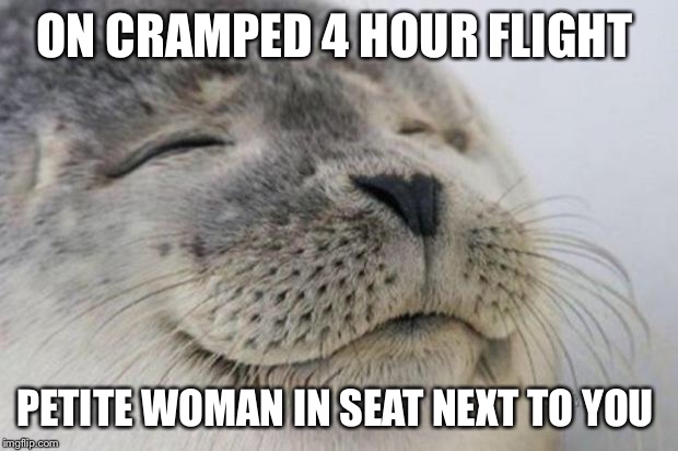 Happy Seal | ON CRAMPED 4 HOUR FLIGHT; PETITE WOMAN IN SEAT NEXT TO YOU | image tagged in happy seal | made w/ Imgflip meme maker