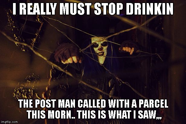 drinkin | I REALLY MUST STOP DRINKIN; THE POST MAN CALLED WITH A PARCEL THIS MORN.. THIS IS WHAT I SAW,,, | image tagged in drunk | made w/ Imgflip meme maker