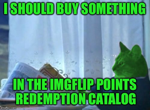 I Should Buy a Boat RayCat | I SHOULD BUY SOMETHING IN THE IMGFLIP POINTS REDEMPTION CATALOG | image tagged in i should buy a boat raycat | made w/ Imgflip meme maker