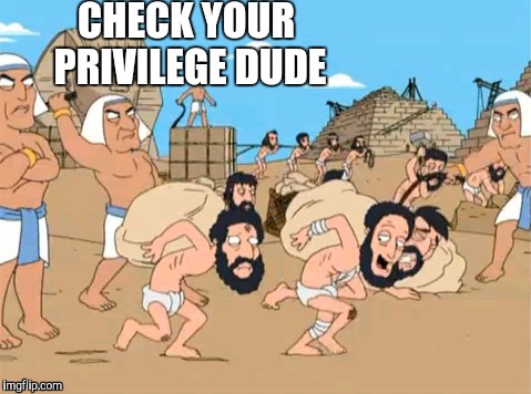 Check Your Privilege  | CHECK YOUR PRIVILEGE DUDE | image tagged in college liberal | made w/ Imgflip meme maker