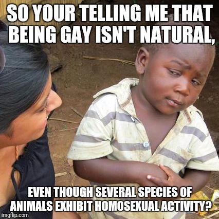 Third World Skeptical Kid | SO YOUR TELLING ME THAT BEING GAY ISN'T NATURAL, EVEN THOUGH SEVERAL SPECIES OF ANIMALS EXHIBIT HOMOSEXUAL ACTIVITY? | image tagged in memes,third world skeptical kid | made w/ Imgflip meme maker