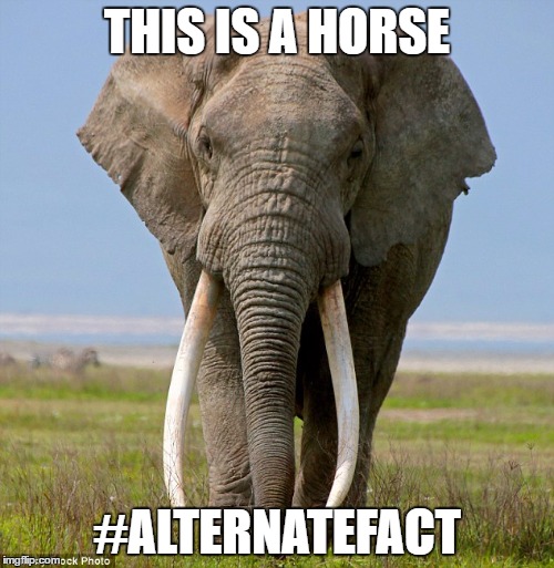 Alternate Facts | THIS IS A HORSE; #ALTERNATEFACT | image tagged in lol | made w/ Imgflip meme maker