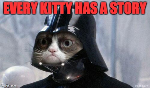 Grumpy Cat Star Wars Meme | EVERY KITTY HAS A STORY | image tagged in memes,grumpy cat star wars,grumpy cat | made w/ Imgflip meme maker