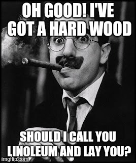 OH GOOD! I'VE GOT A HARD WOOD SHOULD I CALL YOU LINOLEUM AND LAY YOU? | made w/ Imgflip meme maker