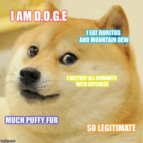 Doge Meme | I AM D.O.G.E; I EAT DORITOS AND MOUNTAIN DEW; I DESTROY ALL HUMANITY WITH CUTENESS; MUCH PUFFY FUR; SO LEGITIMATE | image tagged in memes,doge | made w/ Imgflip meme maker