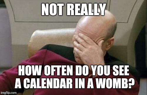 Captain Picard Facepalm Meme | NOT REALLY HOW OFTEN DO YOU SEE A CALENDAR IN A WOMB? | image tagged in memes,captain picard facepalm | made w/ Imgflip meme maker