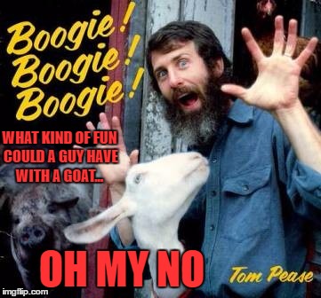 it's just another lonely day in california | WHAT KIND OF FUN COULD A GUY HAVE WITH A GOAT... OH MY NO | image tagged in bad album art week | made w/ Imgflip meme maker