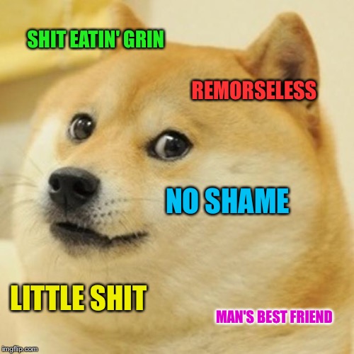 Doge Meme | SHIT EATIN' GRIN REMORSELESS NO SHAME LITTLE SHIT MAN'S BEST FRIEND | image tagged in memes,doge | made w/ Imgflip meme maker