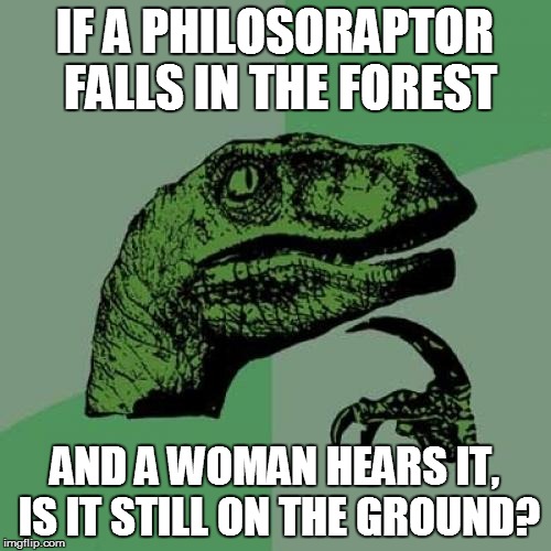 Philosoraptor Meme | IF A PHILOSORAPTOR FALLS IN THE FOREST AND A WOMAN HEARS IT, IS IT STILL ON THE GROUND? | image tagged in memes,philosoraptor | made w/ Imgflip meme maker