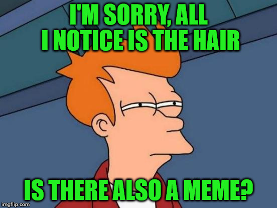 Futurama Fry Meme | I'M SORRY, ALL I NOTICE IS THE HAIR IS THERE ALSO A MEME? | image tagged in memes,futurama fry | made w/ Imgflip meme maker