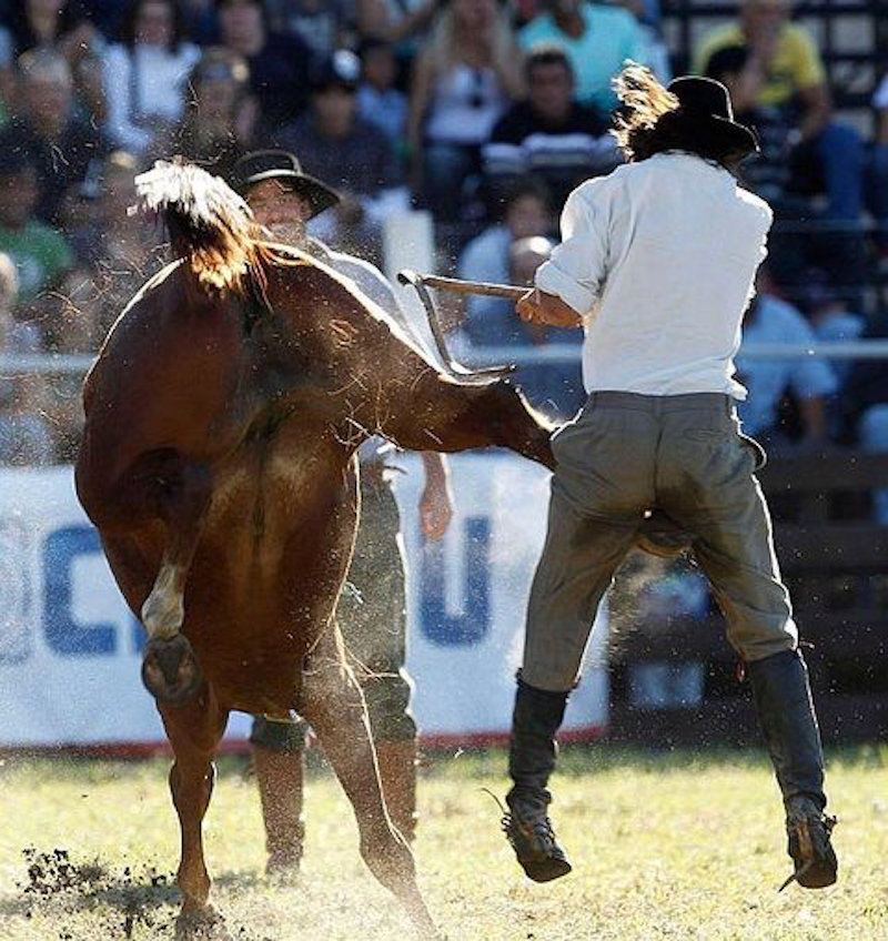 rodeo kick Blank Meme Template