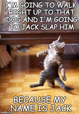 Cool Cat Stroll | I'M GOING TO WALK RIGHT UP TO THAT DOG AND I'M GOING TO JACK SLAP HIM; BECAUSE MY NAME IS JACK | image tagged in memes,cool cat stroll | made w/ Imgflip meme maker