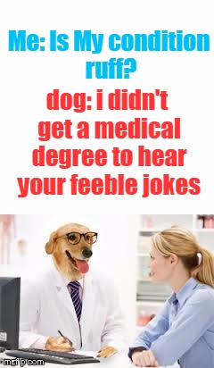 Me: Is My condition ruff? dog: i didn't get a medical degree to hear your feeble jokes | image tagged in funny,memes,great,dog,jokes,doctor | made w/ Imgflip meme maker