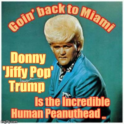 Goin' back to Miami | ,,, Donny 'Jiffy Pop' Trump; Is the Incredible    Human Peanuthead | image tagged in pulp art week,pulp art,peanuthead,amazing hairdo,trump,wayne cochran | made w/ Imgflip meme maker