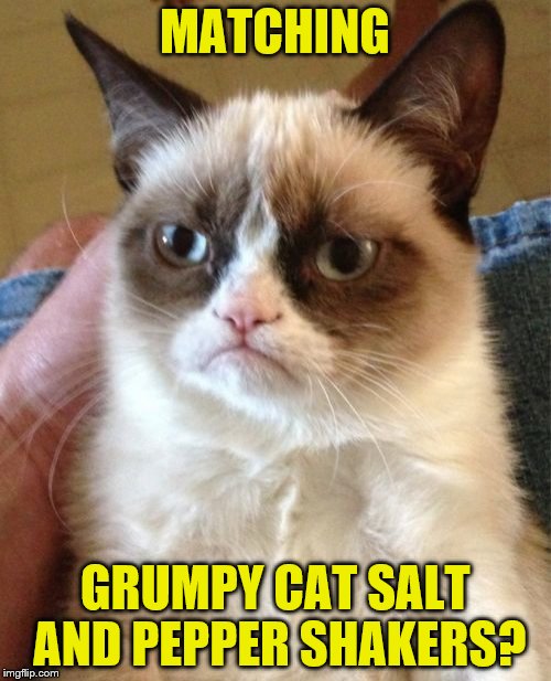 Grumpy Cat Meme | MATCHING GRUMPY CAT SALT AND PEPPER SHAKERS? | image tagged in memes,grumpy cat | made w/ Imgflip meme maker