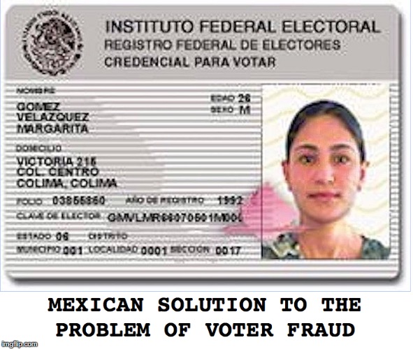 Stopping Voter Fraud | image tagged in elections,mexico | made w/ Imgflip meme maker