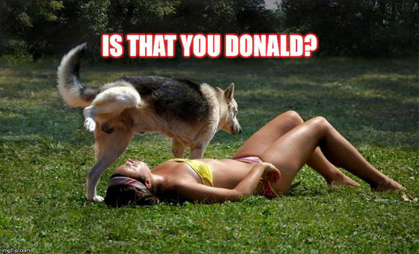 Golden Shower | IS THAT YOU DONALD? | image tagged in is it raining,is that you donald,dog peeing | made w/ Imgflip meme maker