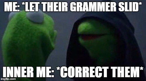 kermit me to me | ME: *LET THEIR GRAMMER SLID*; INNER ME: *CORRECT THEM* | image tagged in kermit me to me | made w/ Imgflip meme maker