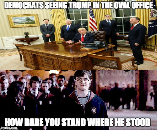 DEMOCRATS SEEING TRUMP IN THE OVAL OFFICE; HOW DARE YOU STAND WHERE HE STOOD | image tagged in political,harry potter,donald trump | made w/ Imgflip meme maker