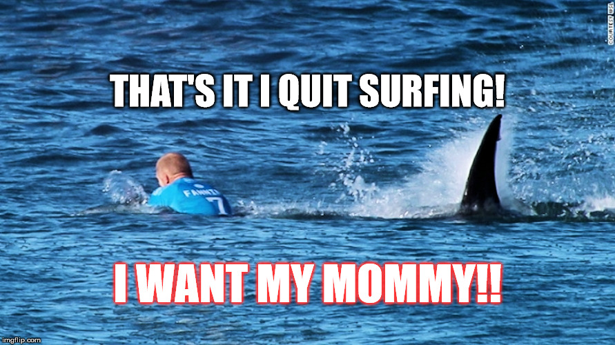 Shark Attack | THAT'S IT I QUIT SURFING! I WANT MY MOMMY!! | image tagged in i hate surfing,i want my mommy,shark attack | made w/ Imgflip meme maker