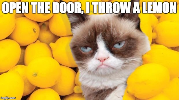 Grumpy Cat lemons | OPEN THE DOOR, I THROW A LEMON | image tagged in grumpy cat lemons | made w/ Imgflip meme maker