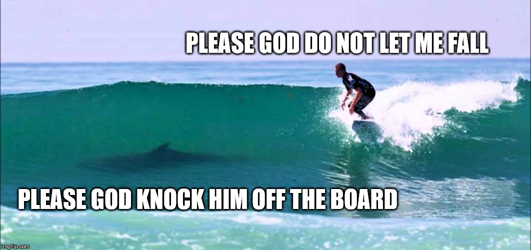 Different Opinions... | PLEASE GOD DO NOT LET ME FALL; PLEASE GOD KNOCK HIM OFF THE BOARD | image tagged in shark wave,shark week,surfing hell,instant religion | made w/ Imgflip meme maker