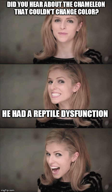 Bad Pun Anna Kendrick Meme | DID YOU HEAR ABOUT THE CHAMELEON THAT COULDN’T CHANGE COLOR? HE HAD A REPTILE DYSFUNCTION | image tagged in memes,bad pun anna kendrick,reptile,erectile dysfunction,funny memes | made w/ Imgflip meme maker
