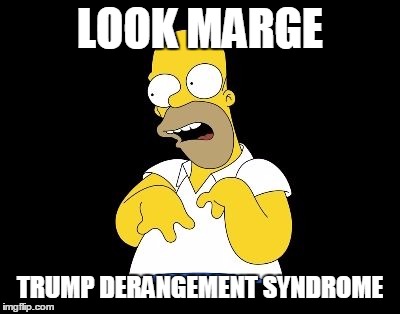 It might be fatal! | LOOK MARGE; TRUMP DERANGEMENT SYNDROME | image tagged in look marge,politics,snowflakes | made w/ Imgflip meme maker