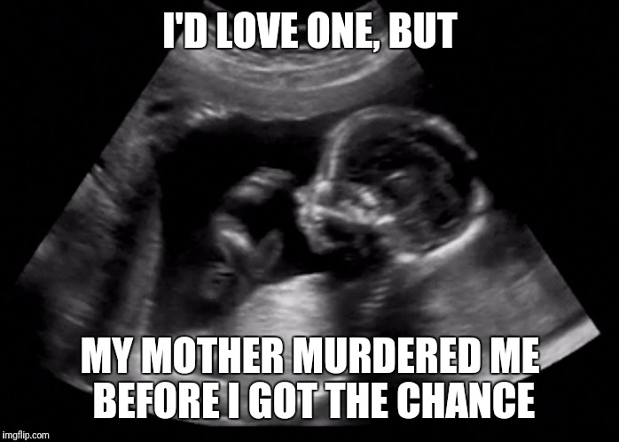 I'D LOVE ONE, BUT MY MOTHER MURDERED ME BEFORE I GOT THE CHANCE | made w/ Imgflip meme maker