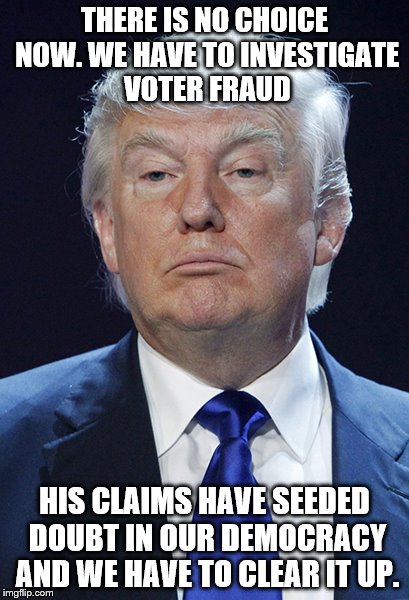 Donald Trump | THERE IS NO CHOICE NOW. WE HAVE TO INVESTIGATE VOTER FRAUD; HIS CLAIMS HAVE SEEDED DOUBT IN OUR DEMOCRACY AND WE HAVE TO CLEAR IT UP. | image tagged in donald trump | made w/ Imgflip meme maker