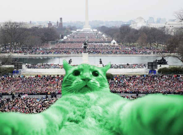 RayCat Inauguration Blank Meme Template