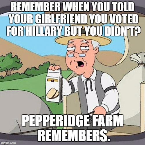 Pepperidge Farm Remembers | REMEMBER WHEN YOU TOLD YOUR GIRLFRIEND YOU VOTED FOR HILLARY BUT YOU DIDN'T? PEPPERIDGE FARM REMEMBERS. | image tagged in memes,pepperidge farm remembers | made w/ Imgflip meme maker