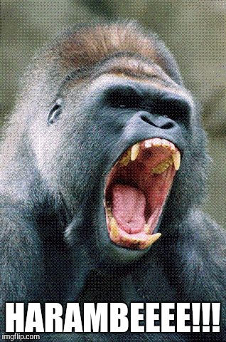 angry_gorilla_small.gif | HARAMBEEEE!!! | image tagged in angry_gorilla_smallgif | made w/ Imgflip meme maker