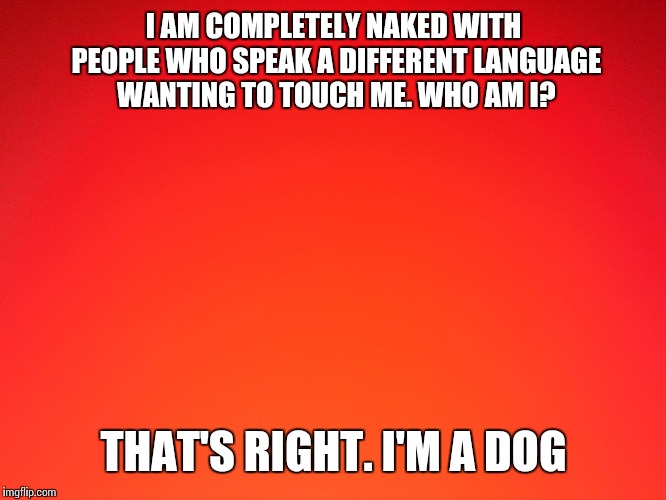 I AM COMPLETELY NAKED WITH PEOPLE WHO SPEAK A DIFFERENT LANGUAGE WANTING TO TOUCH ME. WHO AM I? THAT'S RIGHT. I'M A DOG | image tagged in memes,dog | made w/ Imgflip meme maker