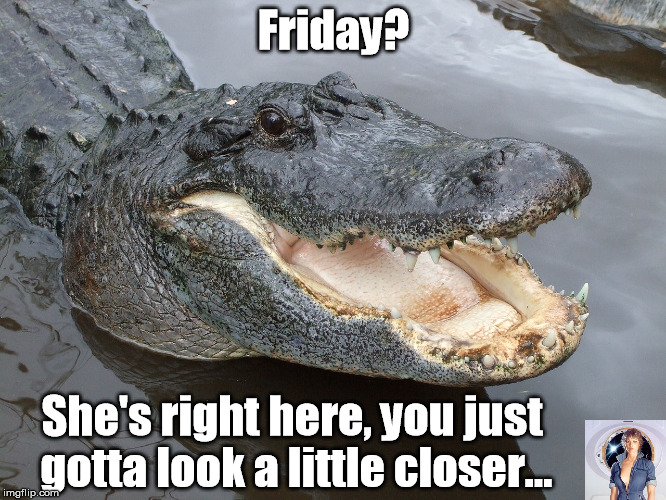 Friday? She's right here, you just gotta look a little closer... | image tagged in drain the swamp,tgif,friday | made w/ Imgflip meme maker
