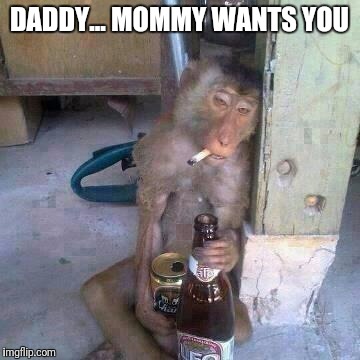 Drunken Ass monkey | DADDY... MOMMY WANTS YOU | image tagged in drunken ass monkey | made w/ Imgflip meme maker
