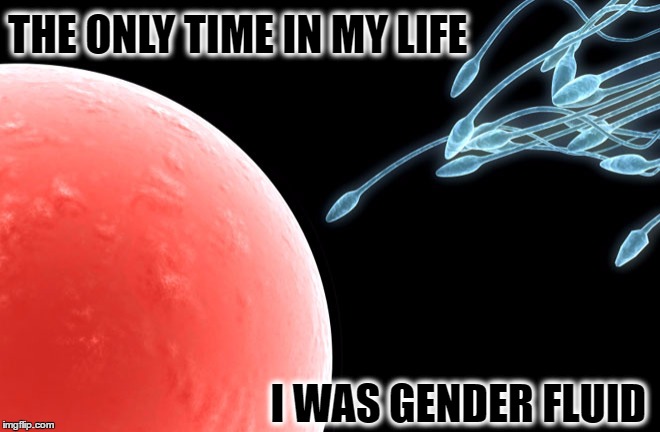 i was once gender fluid  | THE ONLY TIME IN MY LIFE; I WAS GENDER FLUID | image tagged in gender,sperm,x all the y | made w/ Imgflip meme maker