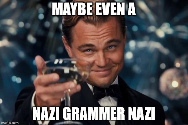 Leonardo Dicaprio Cheers Meme | MAYBE EVEN A NAZI GRAMMER NAZI | image tagged in memes,leonardo dicaprio cheers | made w/ Imgflip meme maker