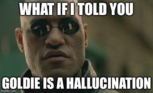 Matrix Morpheus Meme | WHAT IF I TOLD YOU GOLDIE IS A HALLUCINATION | image tagged in memes,matrix morpheus | made w/ Imgflip meme maker