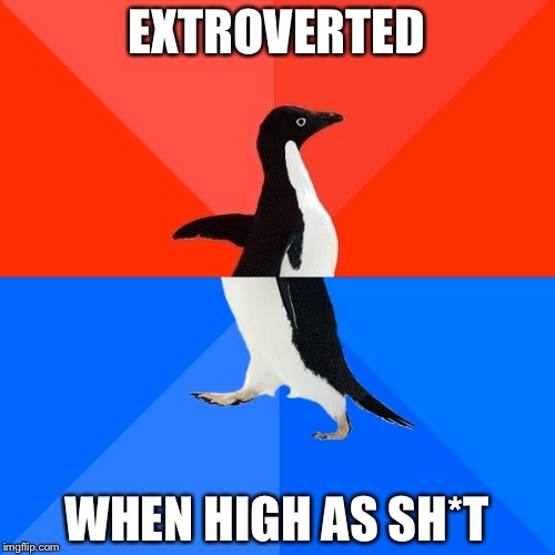 Socially Awesome Awkward Penguin | EXTROVERTED; WHEN HIGH AS SH*T | image tagged in memes,socially awesome awkward penguin | made w/ Imgflip meme maker