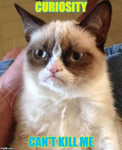 Grumpy Cat | CURIOSITY; CAN'T KILL ME | image tagged in memes,grumpy cat | made w/ Imgflip meme maker