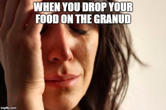 First World Problems Meme | WHEN YOU DROP YOUR FOOD ON THE GRANUD | image tagged in memes,first world problems | made w/ Imgflip meme maker