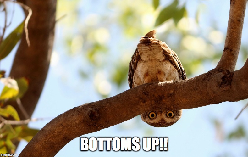 cheers  :-) | BOTTOMS UP!! | image tagged in been that kind of a week lol | made w/ Imgflip meme maker