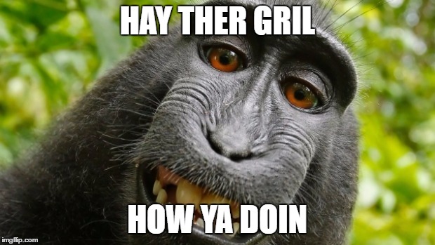 HAY THER GRIL; HOW YA DOIN | image tagged in memes | made w/ Imgflip meme maker