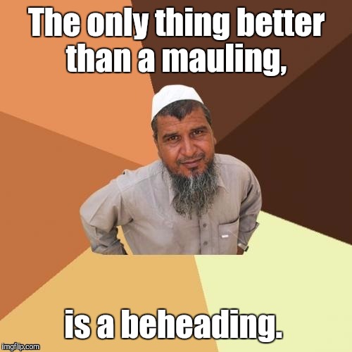 1awhcf.jpg | The only thing better than a mauling, is a beheading. | image tagged in 1awhcfjpg | made w/ Imgflip meme maker